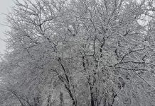 Ankara’da kış güzelliği