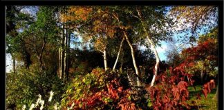 Kibir iyiliklerimizi neden ve nasıl yok eder?