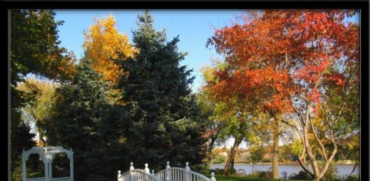 Bu milletin geleceği nasıl bir memur tipiyle kurtulur?