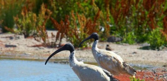 Bize haset eden birisiyle etkili bir mücadele taktiği…