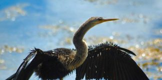 Duygularını sen seçersin…