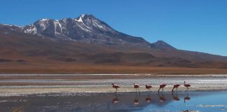 Yüce Allah’ın icraatlarını izleyerek imanımızı nasıl besleriz?
