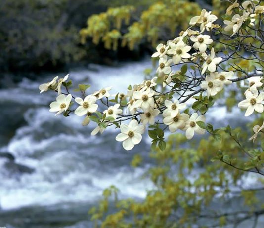 Bilmekten yapmaya geçiş!