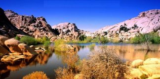 Ruhsal Zeka: Israr edebilme gücü…