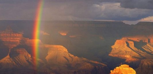 Zihinsel Şifa: Uykumuzu bozarak beynimizi bozuyor muyuz?