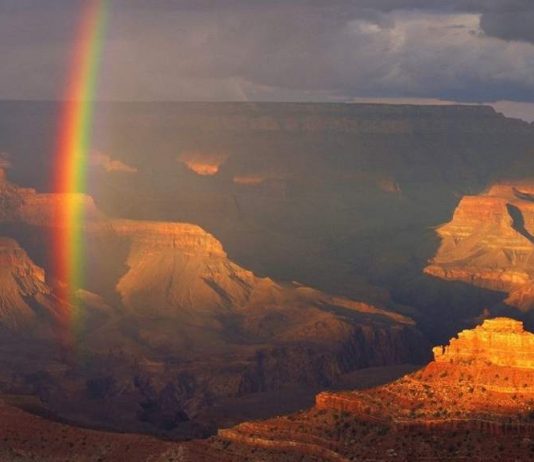 Zihinsel Şifa: Uykumuzu bozarak beynimizi bozuyor muyuz?