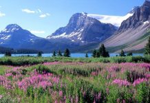 Gıybet günahıyla ne çeşit taktiklerle baş edebiliriz?