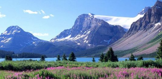 Gıybet günahıyla ne çeşit taktiklerle baş edebiliriz?