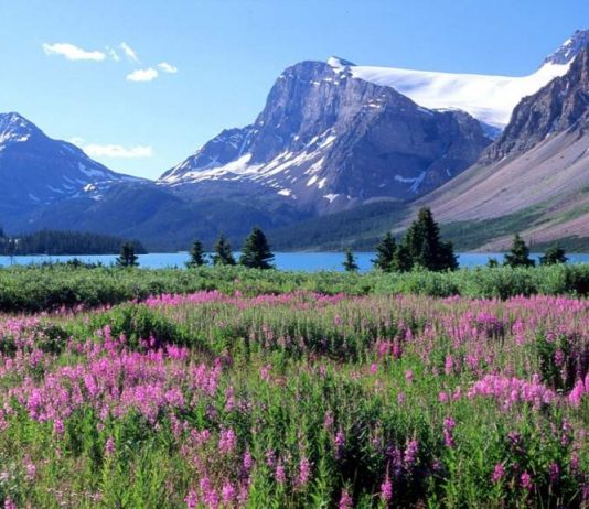 Gıybet günahıyla ne çeşit taktiklerle baş edebiliriz?