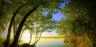 Herkese yaranamaya çalışmak bunalım ve başarısızlık üretir! ağaç göl