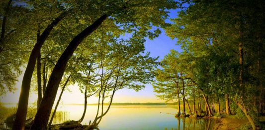 Herkese yaranamaya çalışmak bunalım ve başarısızlık üretir! ağaç göl