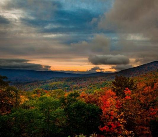 Beterden betedi var…