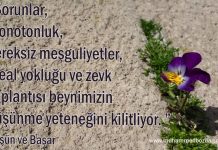 Üniversiteye mi eğlenceye mi? Düşün ve Başar Sözleri