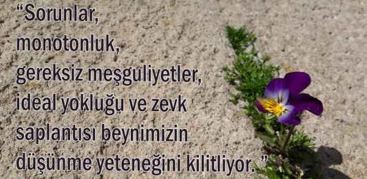 Üniversiteye mi eğlenceye mi? Düşün ve Başar Sözleri