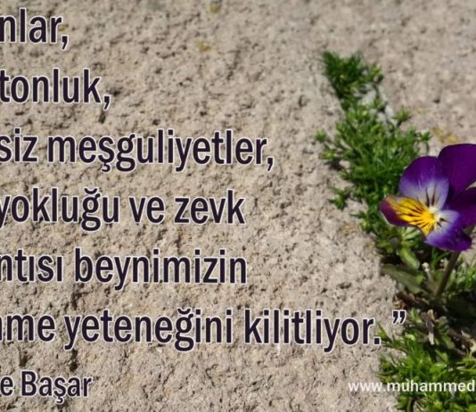 Üniversiteye mi eğlenceye mi? Düşün ve Başar Sözleri