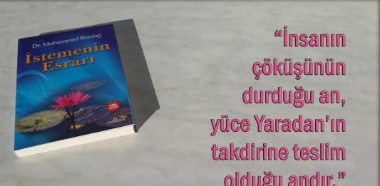 Turuncu Dergisi ile İstemenin esrarı üzerine… İstemenin Esrarı