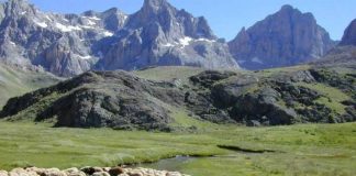 Baharı karşılayan koyunlar…