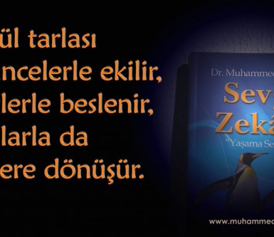 Sabah Gazetesi röportajı: Sevgi ve manevi gelişim üzerine… Sevgi Zekası
