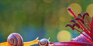 Tebessüm hazinesi…