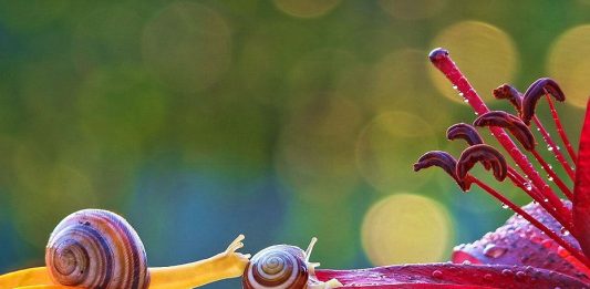 Tebessüm hazinesi…