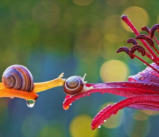 Tebessüm hazinesi…