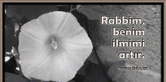 Bilgiyi derinleştirme sanatı…