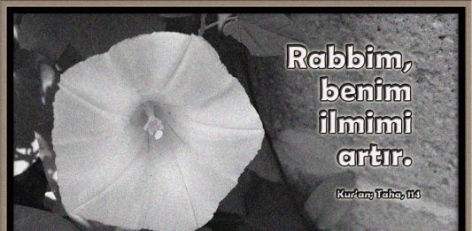 Bilgiyi derinleştirme sanatı…