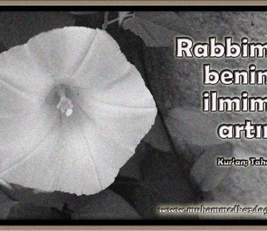 Bilgiyi derinleştirme sanatı…