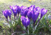 Dünyadan ne kazandık?