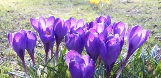 Dünyadan ne kazandık?