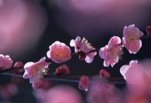 Küçümsenince ezilir misiniz?