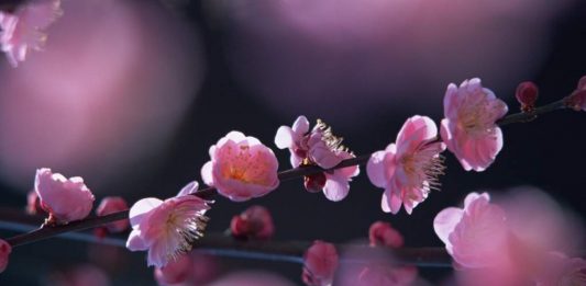 Küçümsenince ezilir misiniz?