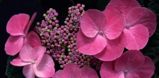 Değişim, irade gücü ve en etkili kaldıraç…