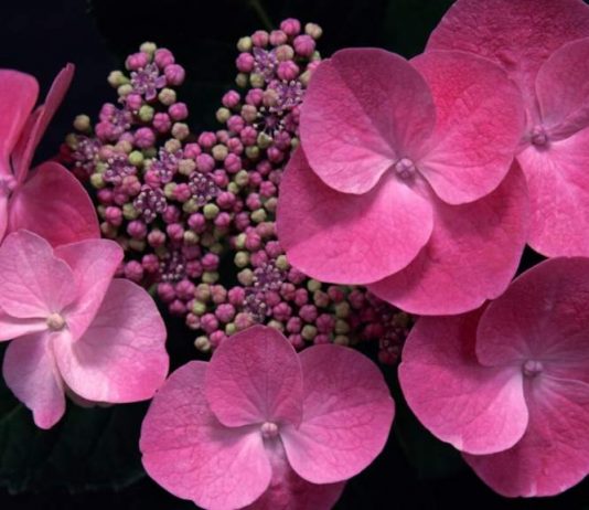 Değişim, irade gücü ve en etkili kaldıraç…