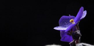 Hayat adil değil demek şirk mi?