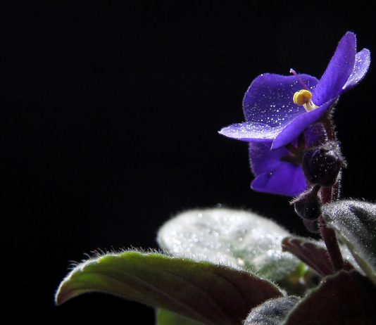 Hayat adil değil demek şirk mi?