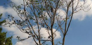 Allah en küçük kul hakkından korusun!