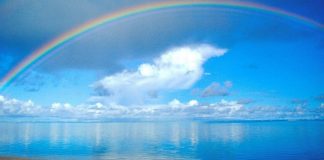 Gerçek dost kim mi? Kim sen yokken senin benliğini var etti?