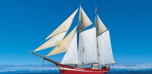 Yüreğini teselli eden tek kimse kalmasın gerekirse!