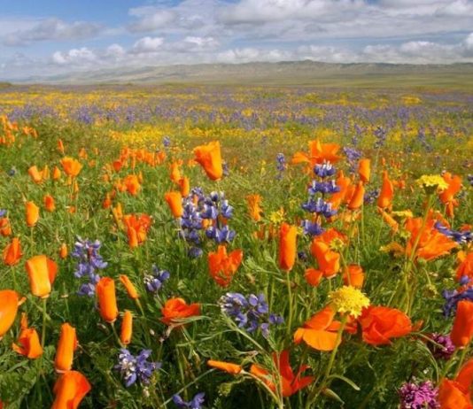 Aile bağlarını ayakta tutan selam, saygı, ilgi ve takdir davranışlarıdır.