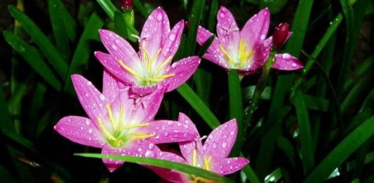 Amaçlarına ulaşamayan kişinin kafa karışıklığı…