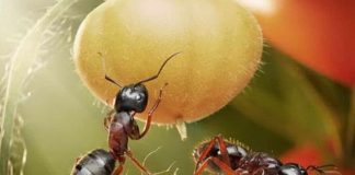 Kader… Dua kaderi değiştirir mi? Kur’an kaderi nasıl açıklar?