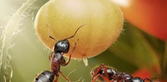 Kader… Dua kaderi değiştirir mi? Kur’an kaderi nasıl açıklar?