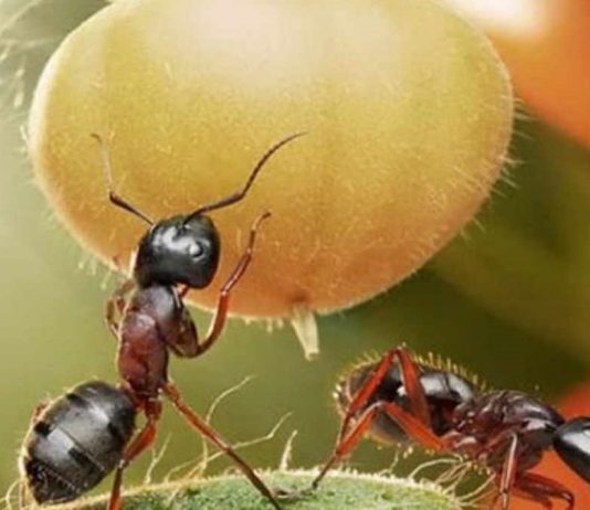 Kader… Dua kaderi değiştirir mi? Kur’an kaderi nasıl açıklar?