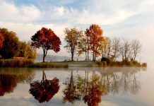 Her amelimiz kayıt altında! Kim gizlenebilir?