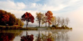 Her amelimiz kayıt altında! Kim gizlenebilir?