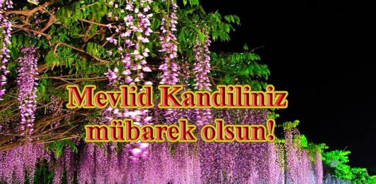 Mevlid Kandilinizi tebrik ediyoruz.