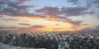 Çanakkale zaferini anarken, muhtemel bir yeni Çanakkale’ye hazırlanıyor muyuz?