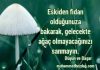 Düşün ve Başar: Kitap özetle ne anlatıyor? Düşün ve Başar Sözleri