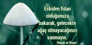 Düşün ve Başar: Kitap özetle ne anlatıyor? Düşün ve Başar Sözleri